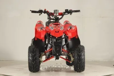 Квадроцикл детский FXMOTO (ФХМото) RUNNER 110 чёрный (машинокомплект)