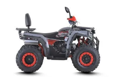 Квадроцикл FXMOTO (ФХмото) WASP 200 серый (машинокомплект)