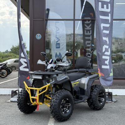 Квадроцикл FXMOTO (ФХмото) WASP 250 серый (машинокомплект)