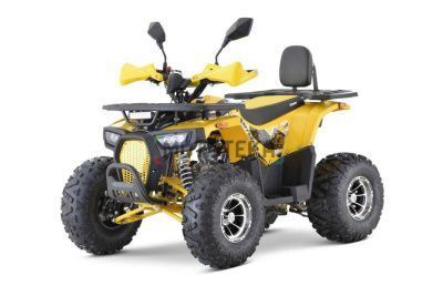 Квадроцикл подростковый FXMOTO (ФХМото) PIKE 150 жёлтый (машинокомплект)