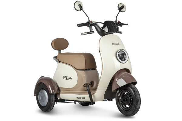 Пассажирский электротрицикл Rutrike (Рутрайк) Gelbert Ogma 48V/60V 650Вт | Мототека
